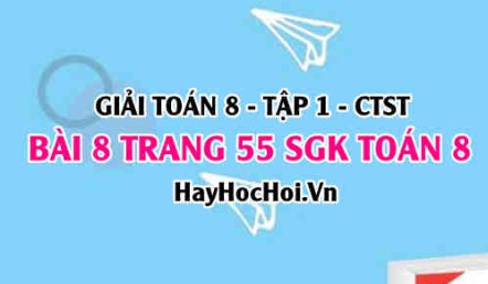 Giải bài 8 trang 55 Toán 8 Tập 1 SGK Chân trời sáng tạo